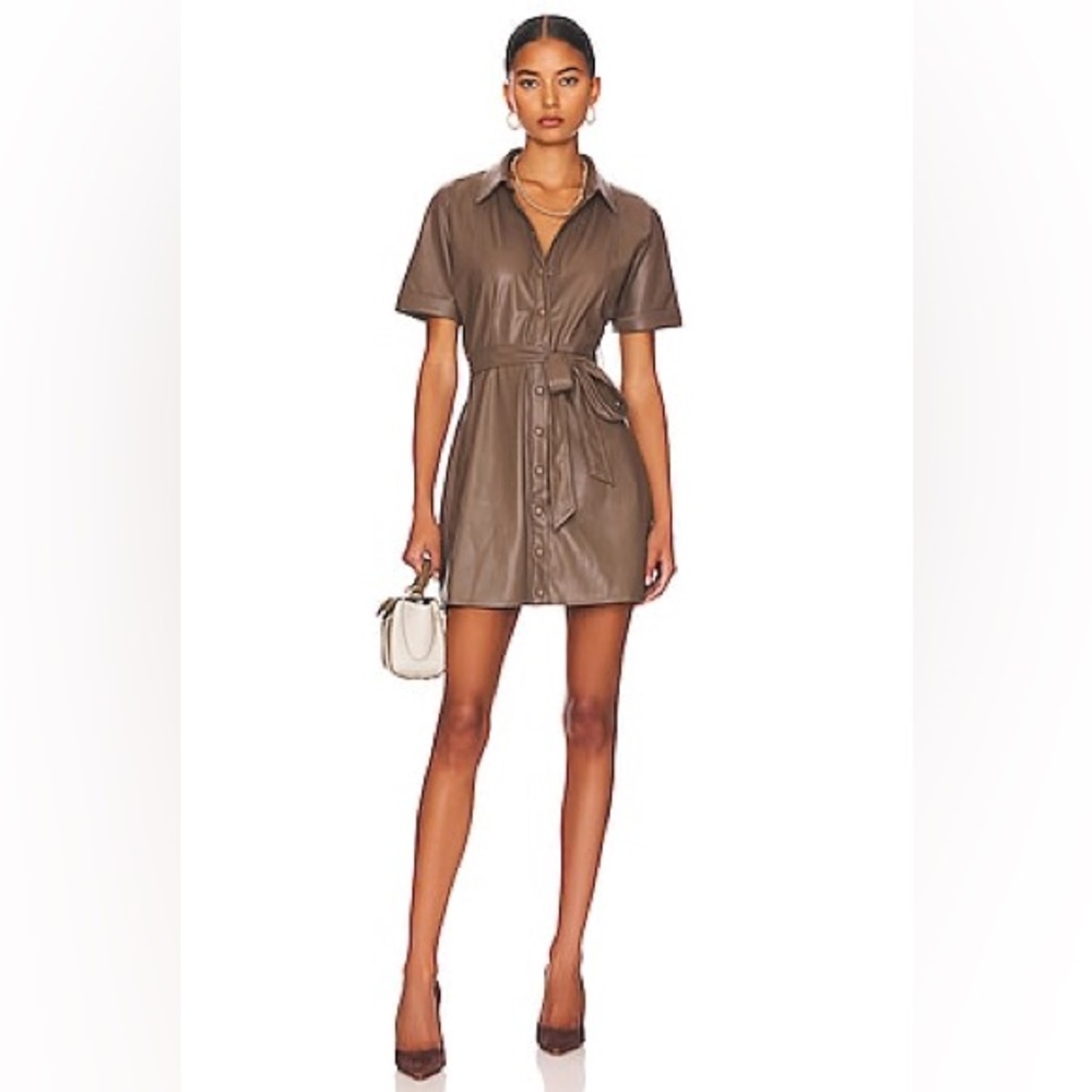 NWOT Heartloom Soho Mini Dress in Coco